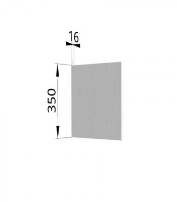 Панель торцевая (для шкафа горизонтального) ПГ Ройс (Графит софт) в Колыване - kolyvan.mebel54.com | фото
