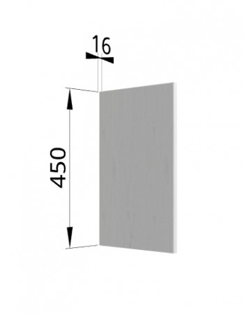 Панель торцевая (для шкафа горизонтального высокого) ВПГ Ройс (Графит софт) в Колыване - kolyvan.mebel54.com | фото